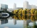 В Киеве планируют расширить национальный природный парк «Голосеевский»