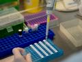 Минздрав предупреждает частные лаборатории о последствиях сокрытия результатов на коронавирус
