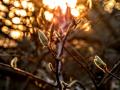 Грозы, снег и +15°: начало апреля принесет Украине синоптические качели