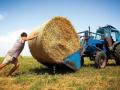 В Украине будут отмечать 19 июня День фермера — указ Президента