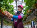 Финляндия планирует забирать сезонных работников из Украины чартерами