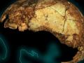 В Африке обнаружили древнейший череп предка Homo sapiens