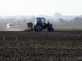 В Украине завершили сев яровой пшеницы, ячменя, свеклы и гороха