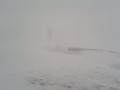 На высокогорье Карпат падает снег