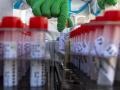 В Украине за сутки зарегистрировали 646 случаев коронавируса