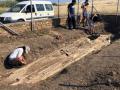 В Греции раскопали дерево возрастом 20 млн лет