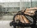 Украину накроют дожди: «мокрый» прогноз на несколько дней