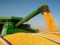 Світові ціни на зерно сягнули 10-річного максимуму - ООН