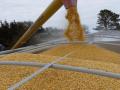 Експорт українського зерна в травні становив майже 650 тисяч тонн