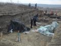 Уничтожение городища под Львовом: полиция ищет «черных копателей»