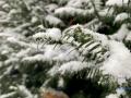 Снег и до 9° мороза: какими будут последние дни января