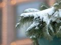 Зима придет в Украину со снегом, гололедицей и сильным ветром