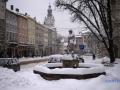 Садовый предлагает сделать пятницу во Львове выходным, чтобы убрать снег