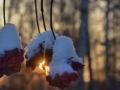 Украине прогнозируют небольшой снег, гололедицу и «плюс» днем