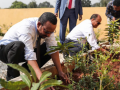 Эфиопия в этом году высадит шесть миллиардов деревьев