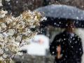 22 травня в Україні очікується прохолодна погода, місцями дощі