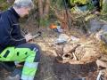 В Швеции нашли клад возрастом 2500 лет