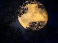 Ночью совпадут «кровавое» суперлуние и лунное затмение. Где смотреть онлайн