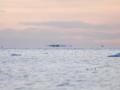 Возле украинской станции в Антарктиде заметили «летучие» айсберги