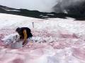 Ученые раскрыли секрет «крови ледников» в Альпах