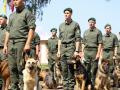 Пограничные собаки впервые примут участие в параде ко Дню Независимости