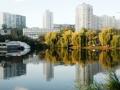 У Києві створять 39 зелених просторів – список адрес