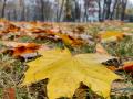 Україні прогнозують до +20°, з вівторка прийде похолодання