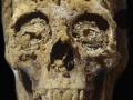 Археологи знайшли в Єгипті мумії з золотими язиками