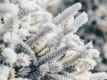 В Україні на Різдво мороз посилиться до -13°
