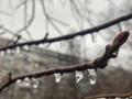Дощі в Україні прогнозують до вихідних, у Карпатах - мокрий сніг