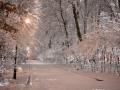 На Старий Новий рік Україну чекає великий температурний стрибок