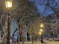 Морозні ночі, теплі дні: Україну чекають мокрий сніг та до +14°