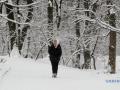 Україні прогнозують п'ятницю з мокрим снігом, у Карпатах — хуртовина