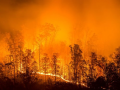 росія у вогні: лісові пожежі охопили 77 із 83 регіонів