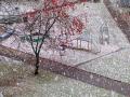Тепло до +25, ливни и ранний снег: какой будет погода осенью в Украине