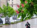 Субота буде з грозами та рвучким вітром: прогноз погоди в Україні на вихідні, 14-15 травня