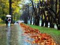 Погода в Украине на пятницу, 12 ноября