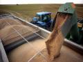 Україна імпортує з ЄС аграрну продукцію на 7,5 млрд грн