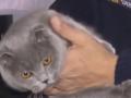В Виннице кошка спасла от смерти хозяина
