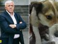 В Хмельницком требуют наказать мужчину, волочившего собаку, привязанную к авто
