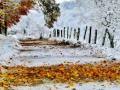 В октябре пойдет снег и ударят морозы: синоптики дали прогноз до конца осени