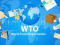 Украина готова начать переговоры по е-commerce в рамках ВТО