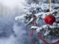 Снежные шторма и морозы до -15: синоптики обновили прогноз на декабрь