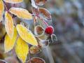 Снег, заморозки и аномальная температура: синоптики изменили прогноз на октябрь