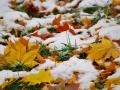 Настоящая осень и первый снег. Синоптики дали прогноз погоды на ноябрь
