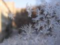 В Украине снова похолодает – до 15° мороза