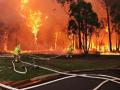 На восстановление после пожаров Австралии понадобится сто лет