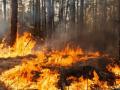 В Черниговской области объявили чрезвычайный уровень пожарной опасности