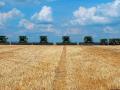 Экспорт украинской агропродукции существенно вырос