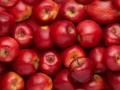Ціни на яблука злетять утричі – коли чекати на подорожчання